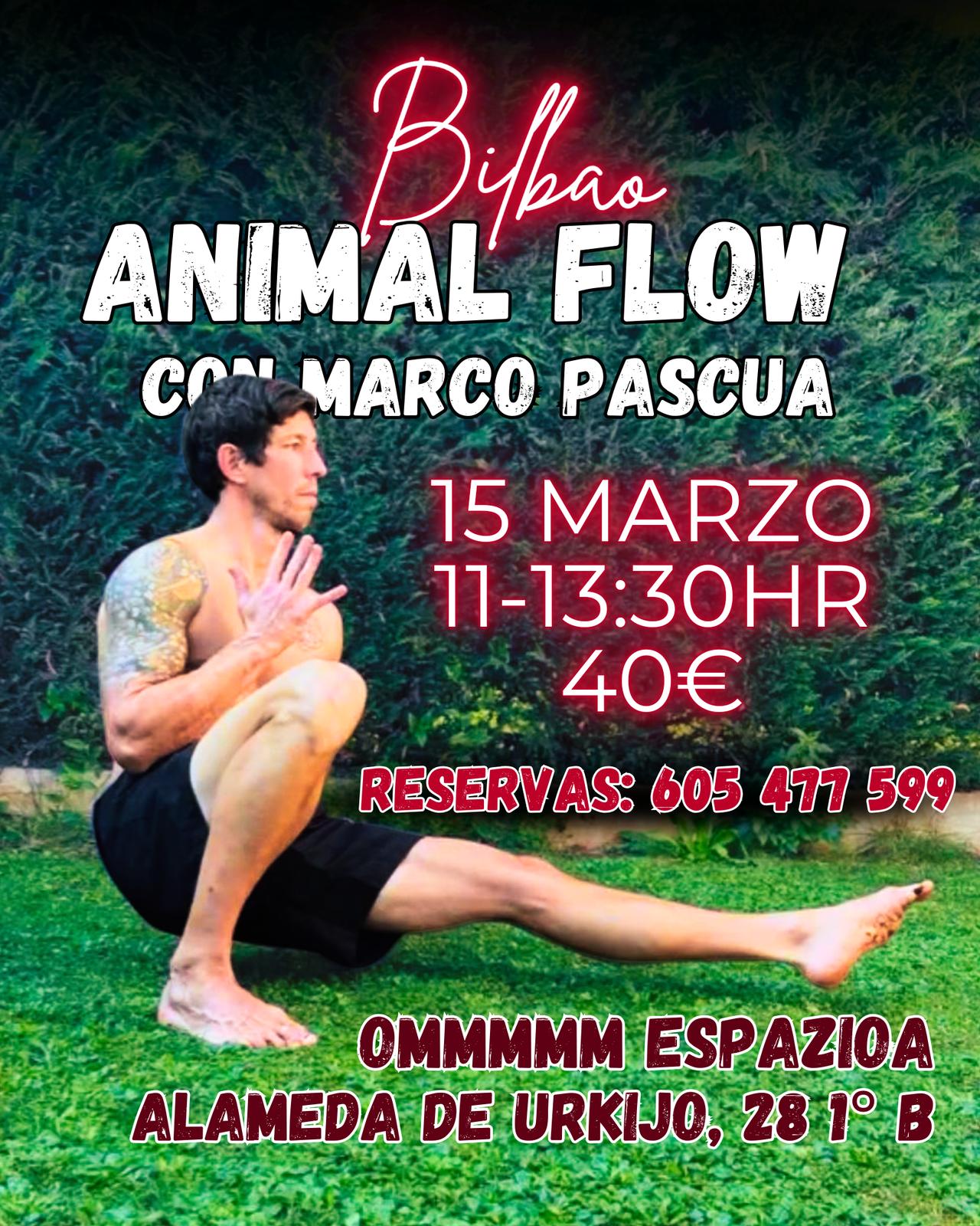 Animal flow Bilbao